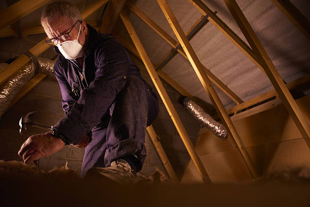 Insulation Repair Services in Elmore, OH